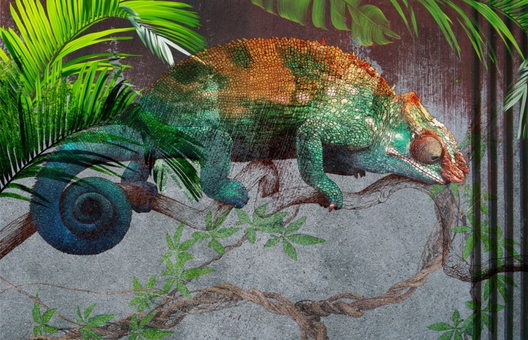 Fototapet Cameleon verde