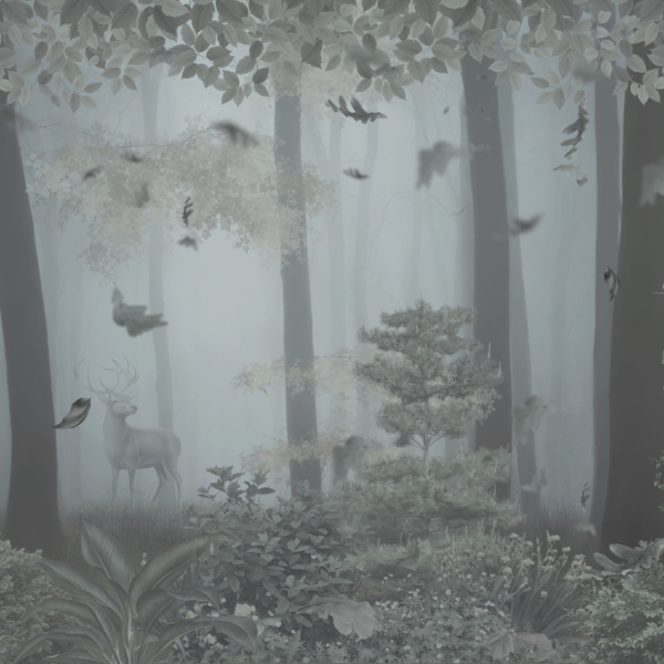 Foto tapet de fundal Dark Forest