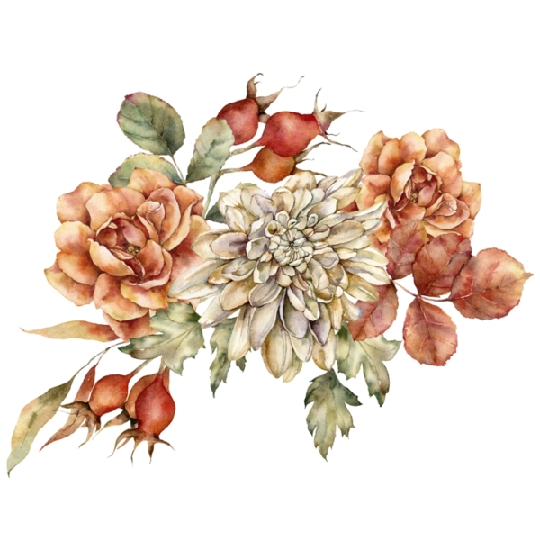 Wild Rose Blossom Wild Rose Blossom Red Mural