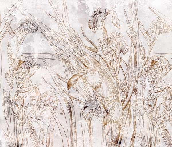 Mural Delicate Iris Blossom