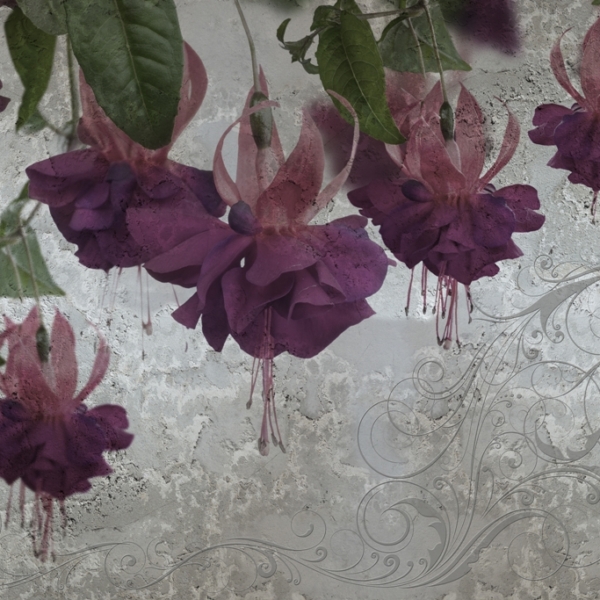 Mural flori violet