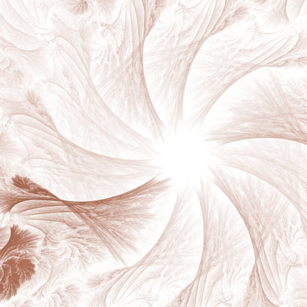 Mural Cream Rosette
