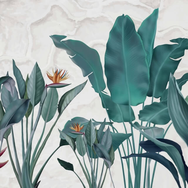 Strelitzia flori murale