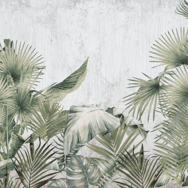 Photo Wallpaper frunze de palmier pe un fundal gri