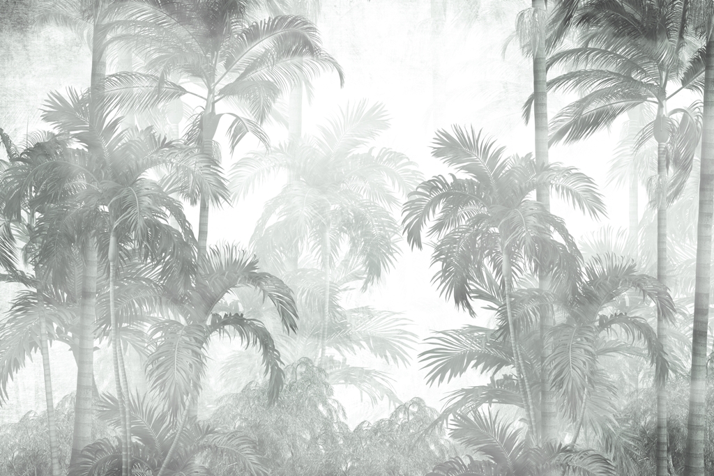 Fototapeta-Mgla-Wsrod-Palm_2198597131-1