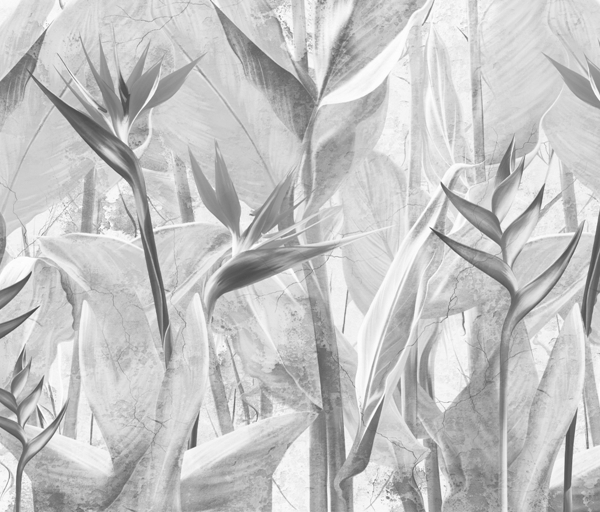 Monocrom Strelitzia flori tapet