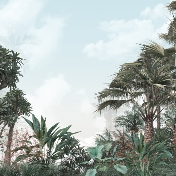Mural Cer deasupra junglei