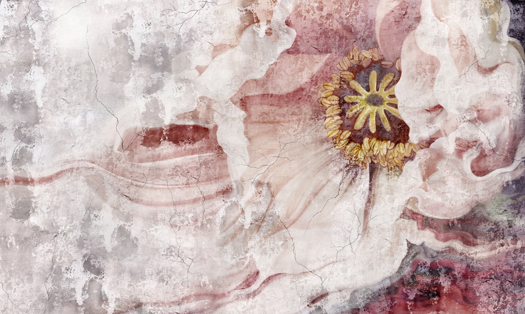 Fototapeta-Niewyrazny-Bialy-Kwiat_399726861