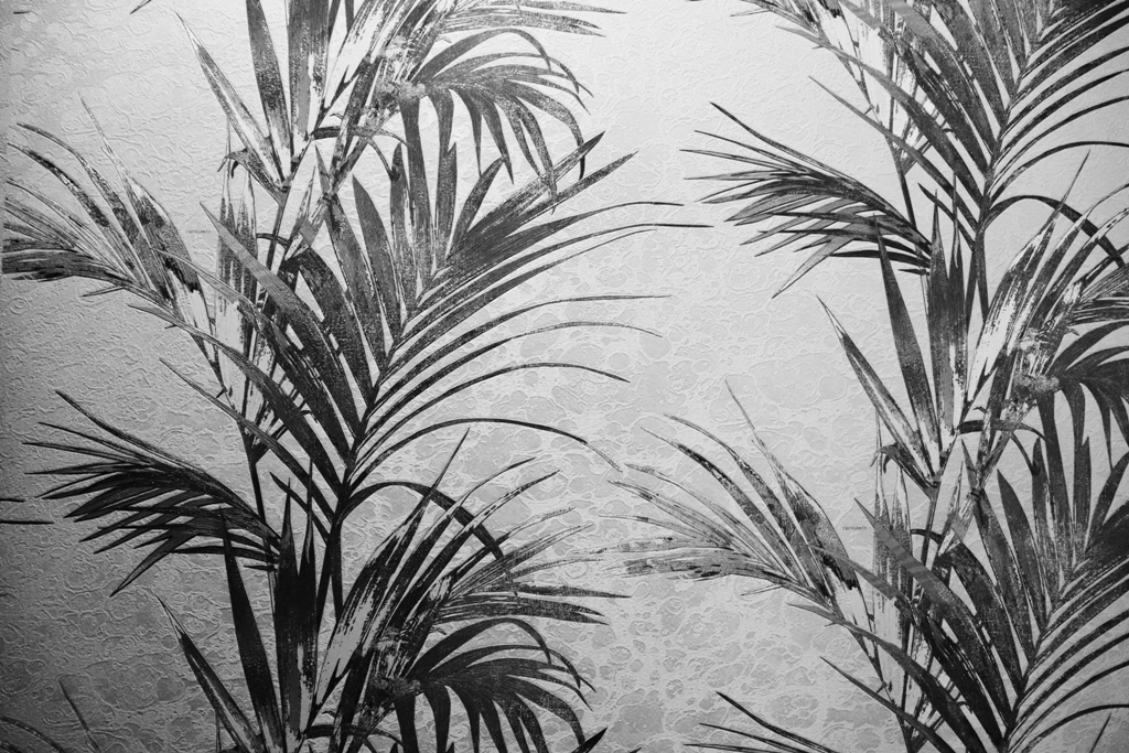 Fototapeta-Palmy-w-Ciemnosci_1900845193-1