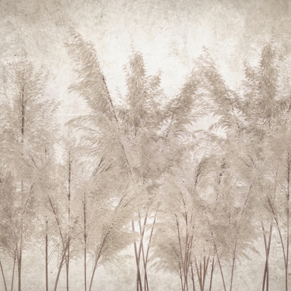 Pictura murală de pene de iarbă în sepia