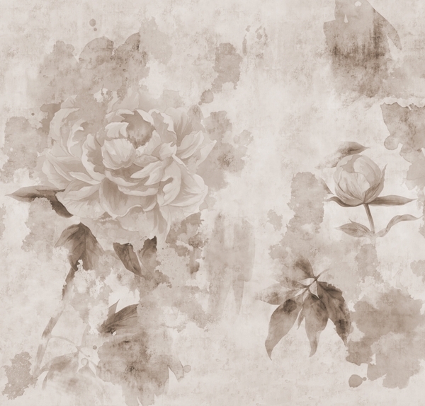 Bujori murale în sepia