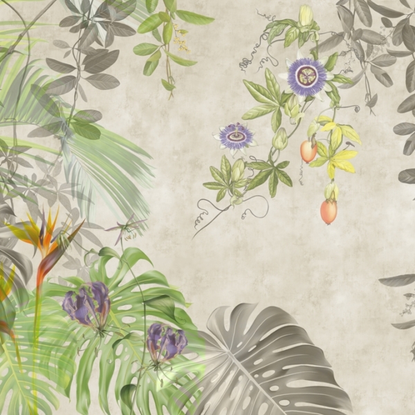 Tablou mural Grey Monstera