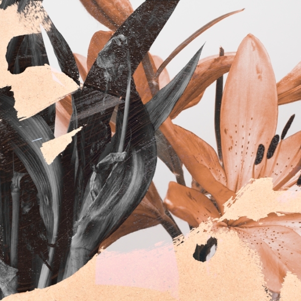 Tablou mural Blurred Lilies