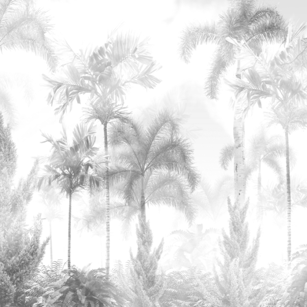 Misty Palm Trees tapet