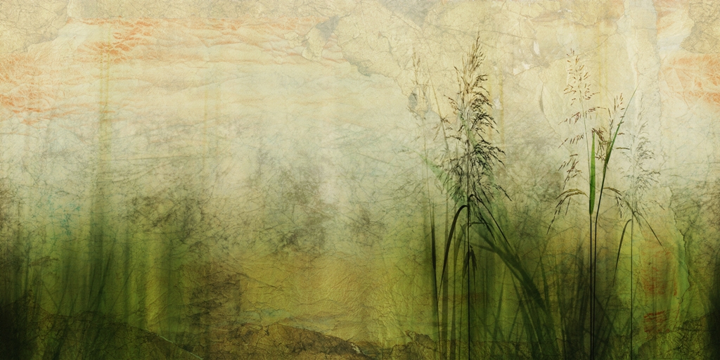 Fototapeta-Zielen-Traw_2116834163-1