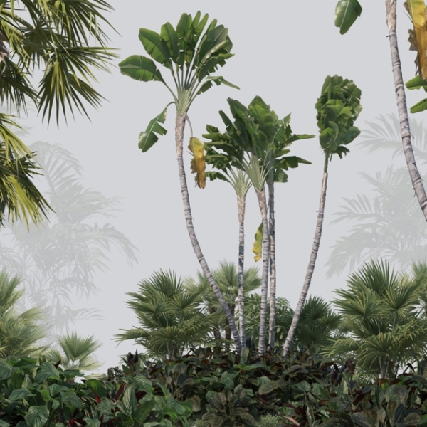 Mural de verdeață tropicală și ceață