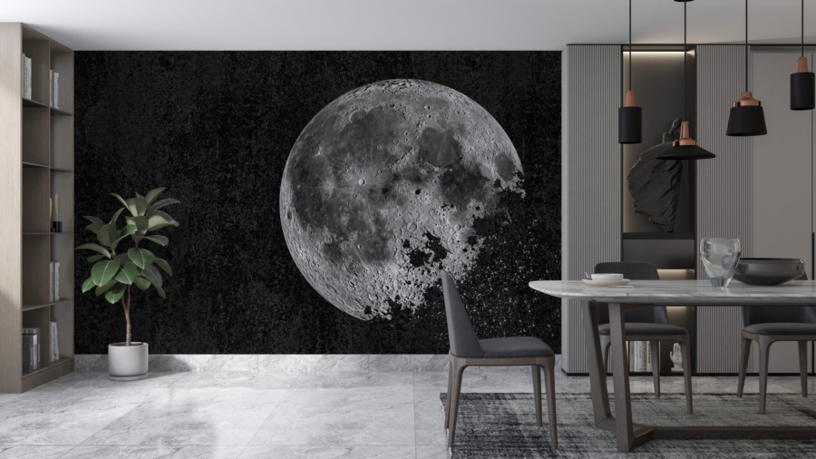 Mural Moon negru