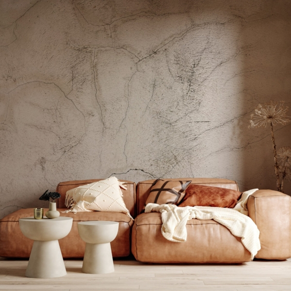 Picturi murale Urme ale elementelor