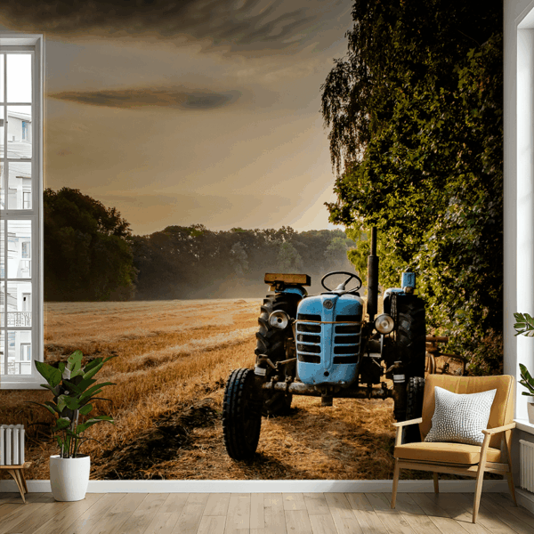 Picturi murale Un moment pe teren