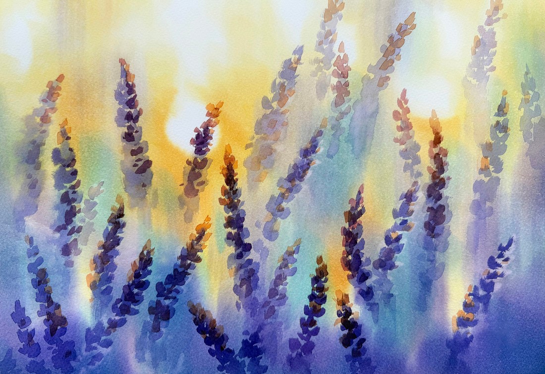 Violet,Lavender,Field,Blooming,In,The,Sunset,Watercolor,Background.,Summer
