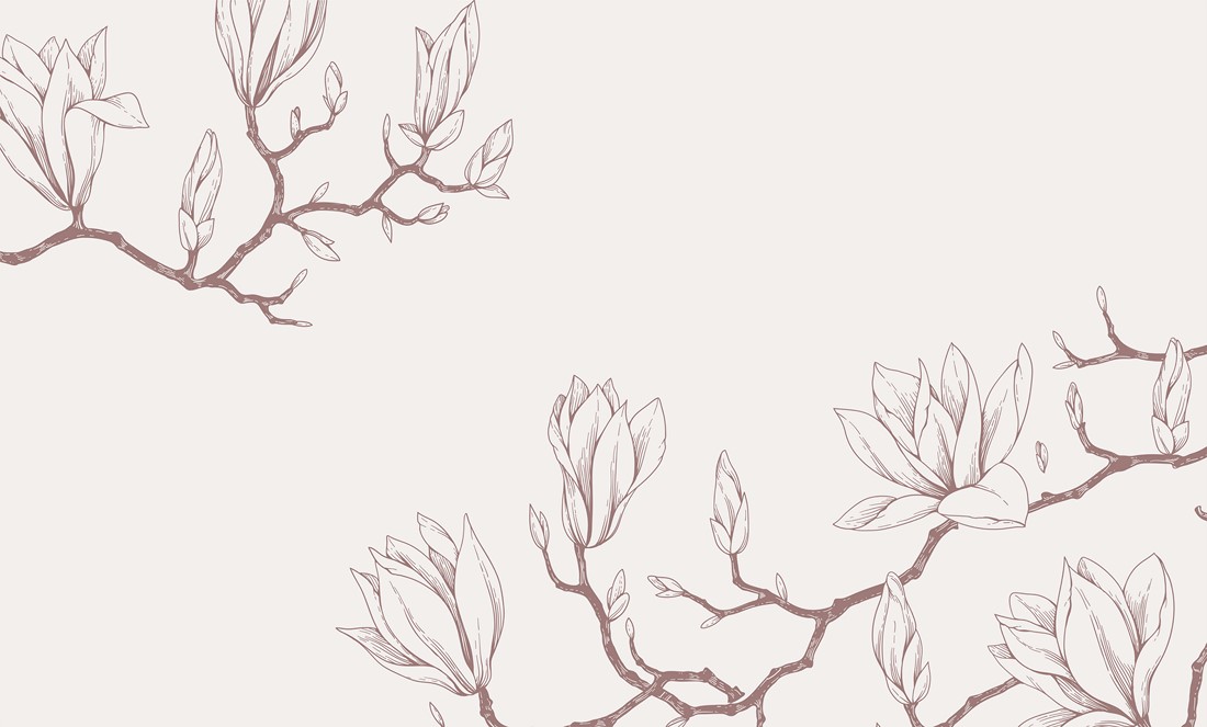 Fototapeta-Rysowane-Magnolie-2743140339